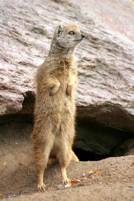 Killikus® Fotographie Killikus® Fotographie